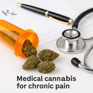 medical cannabis for chronic pain